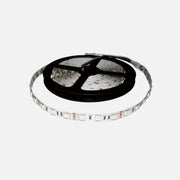 RP LED Stripe 14.4W IP20 12V RGB 5m