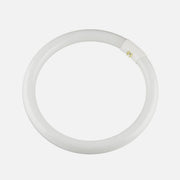 RP Circular Fluorescent Lamp 32W G10Q 6400K 865 Redlux