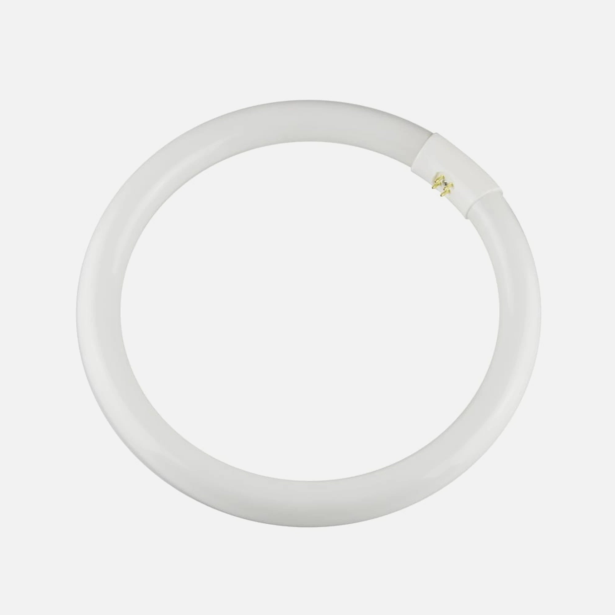 RP Circular Fluorescent Lamp 32W G10Q 6400K 865 Redlux
