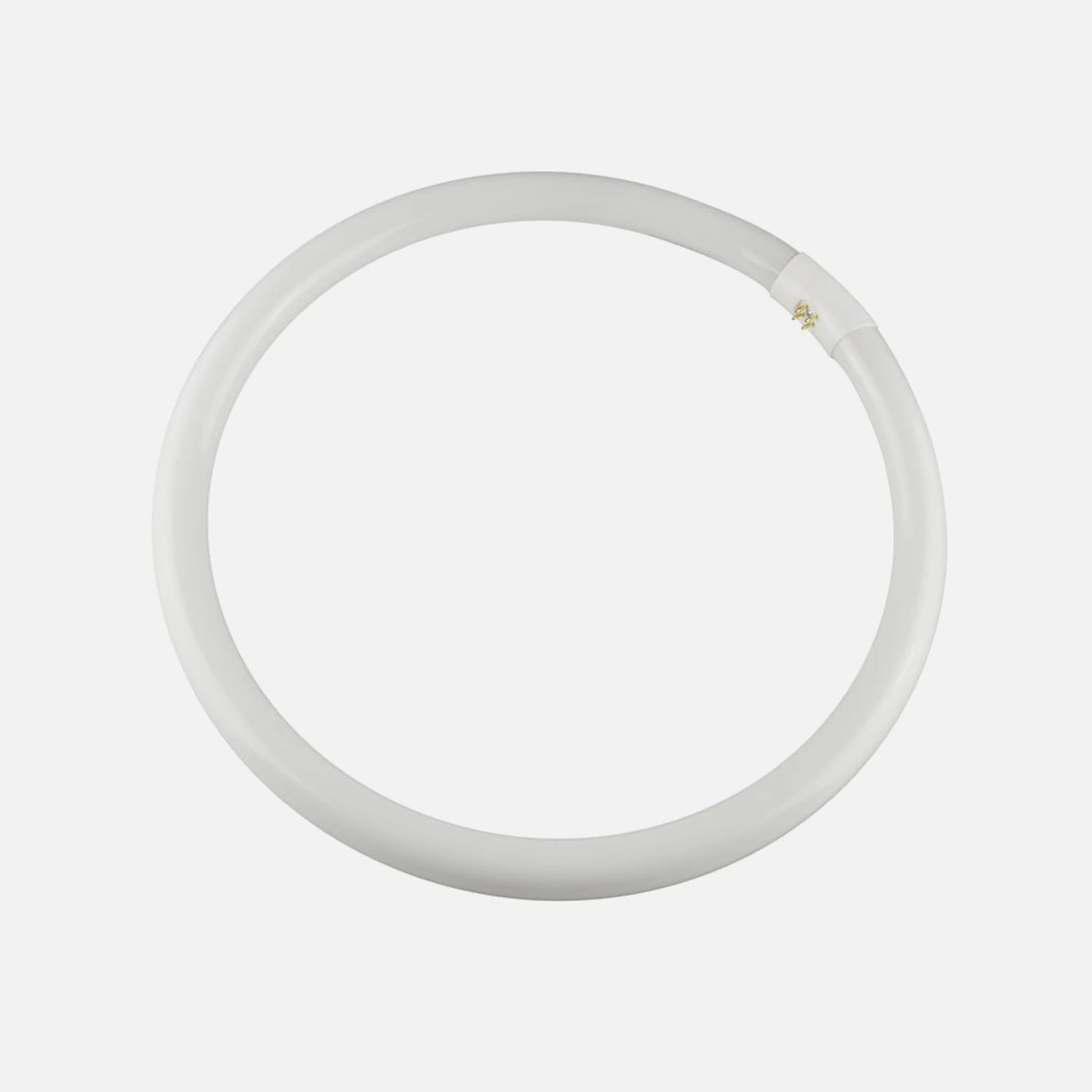 RP Circular Fluorescent Lamp 40W G10Q 6400K 865 Redlux
