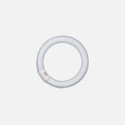 LEDVANCE OSRAM Circular Fluorescent Lamp L32W/865 G10Q