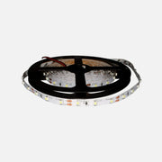 RP Led Stripe - 14.4W/IP20/24V/Cool White/5m