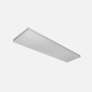 AD Luminaire - PANEL LED Ceiling Fitted with White Frame 1200Χ300mm/50W/6300K