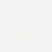 RP Neon Double Star with 8 Programs 220V/IP44 Warm-Cold