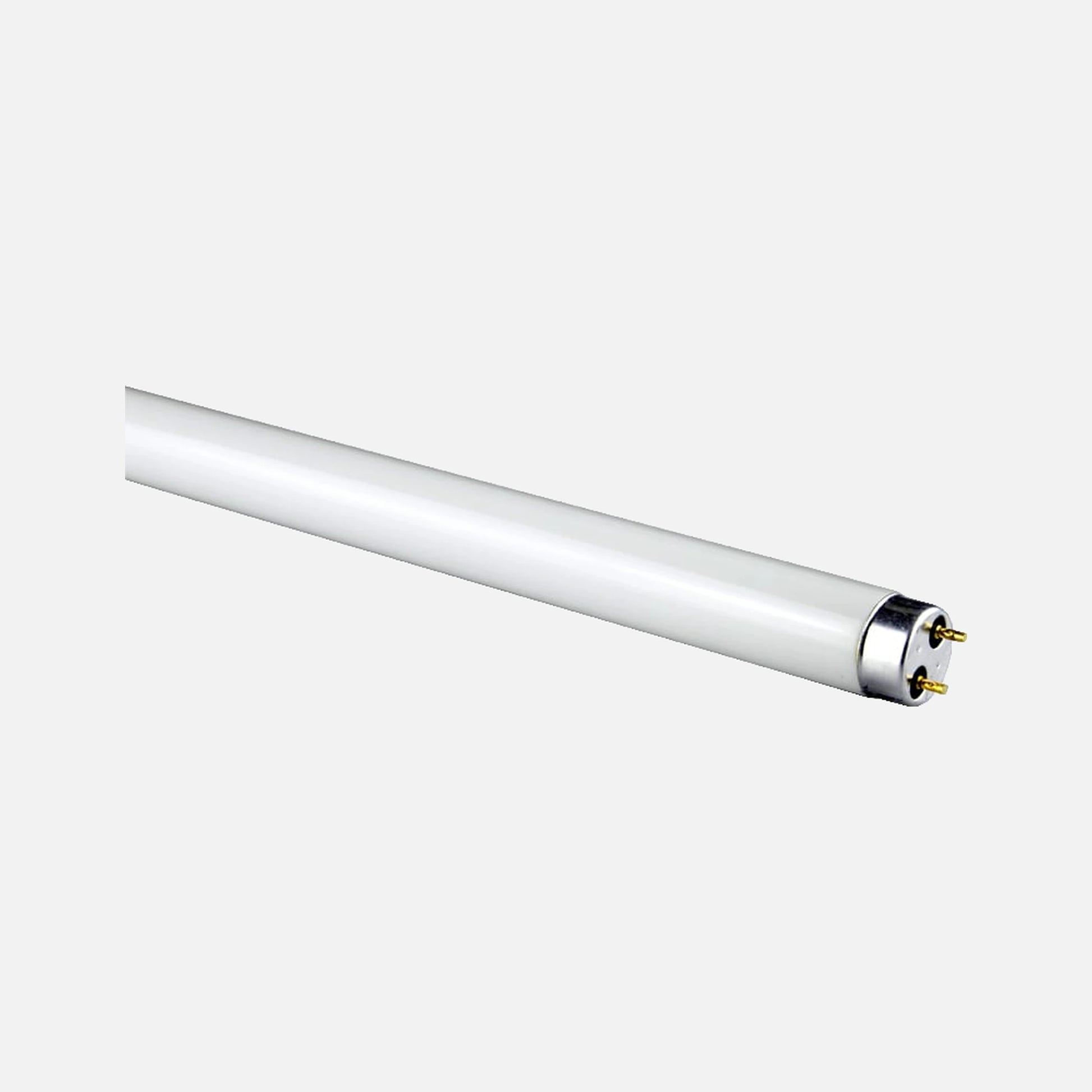 RP Lamp Fluoride - 58W/G13/1500mm/6400K Cool
