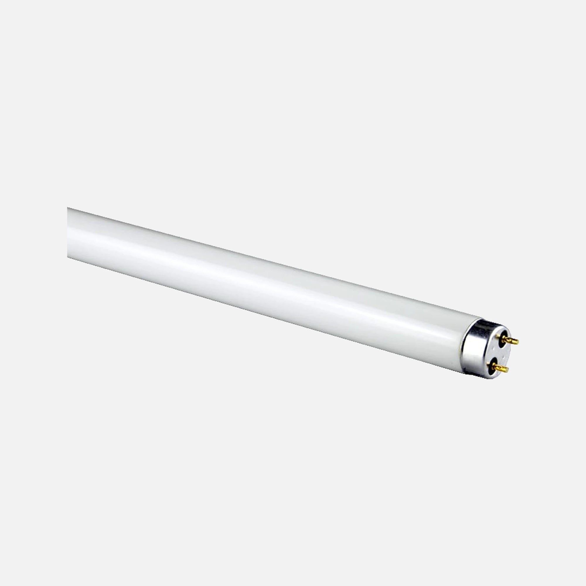 RP Lamp Fluorescent - 36W/G13/1200mm/6400K Cool