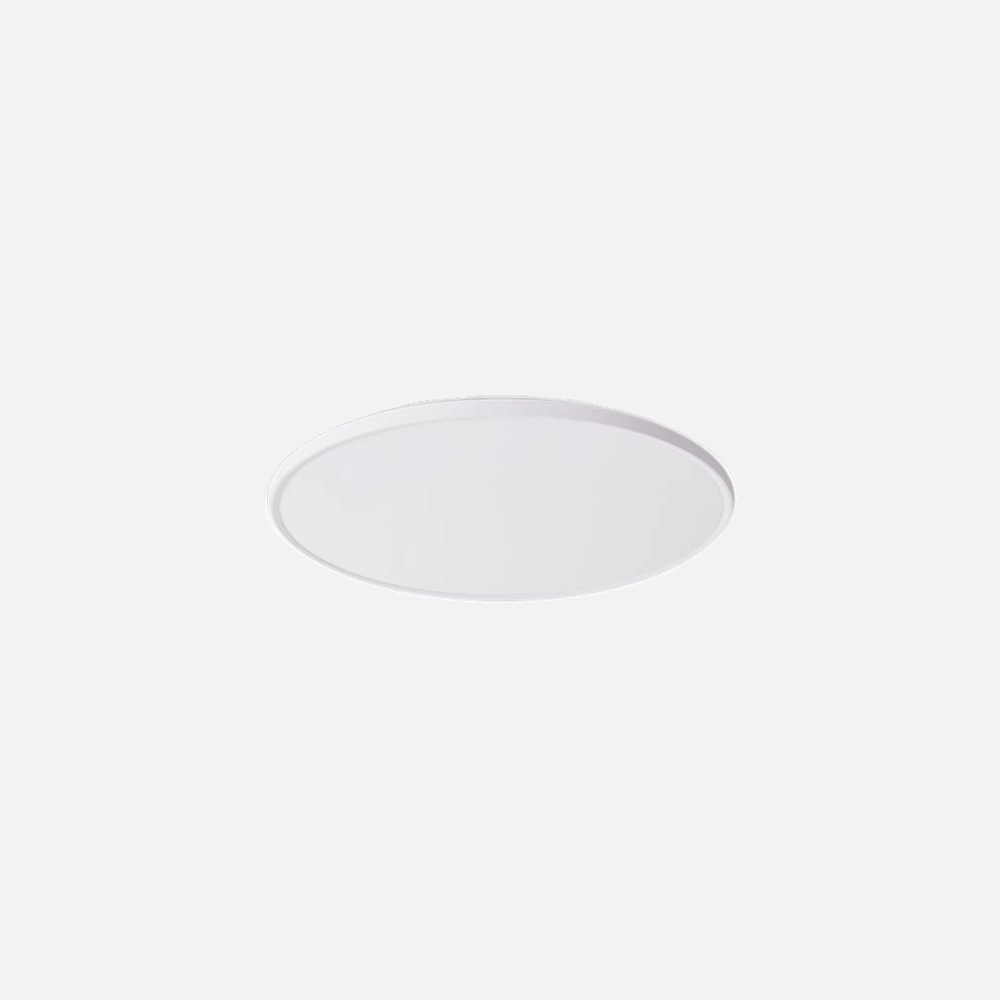 RP Ceiling Light with hanging option - Round With PC Cover/Φ300mm/24W/3CCT/White