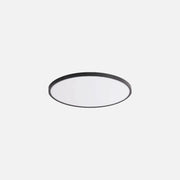 RP Ceiling Light with hanging option - Round With PC Cover/Φ300mm/24W/3CCT/Black