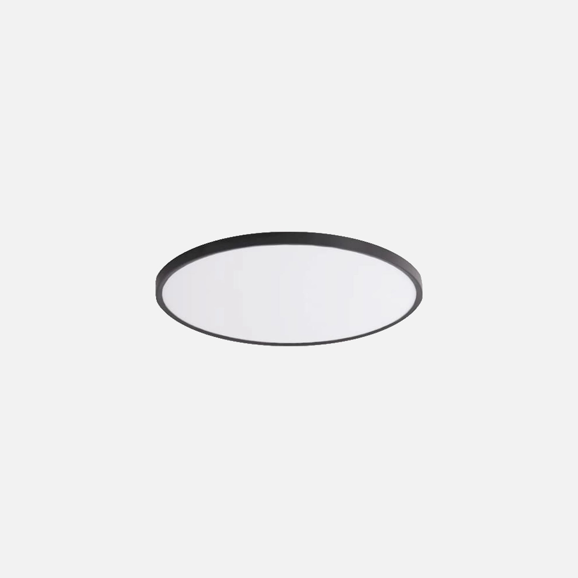 RP Ceiling Light with hanging option - Round With PC Cover/Φ300mm/24W/3CCT/Black