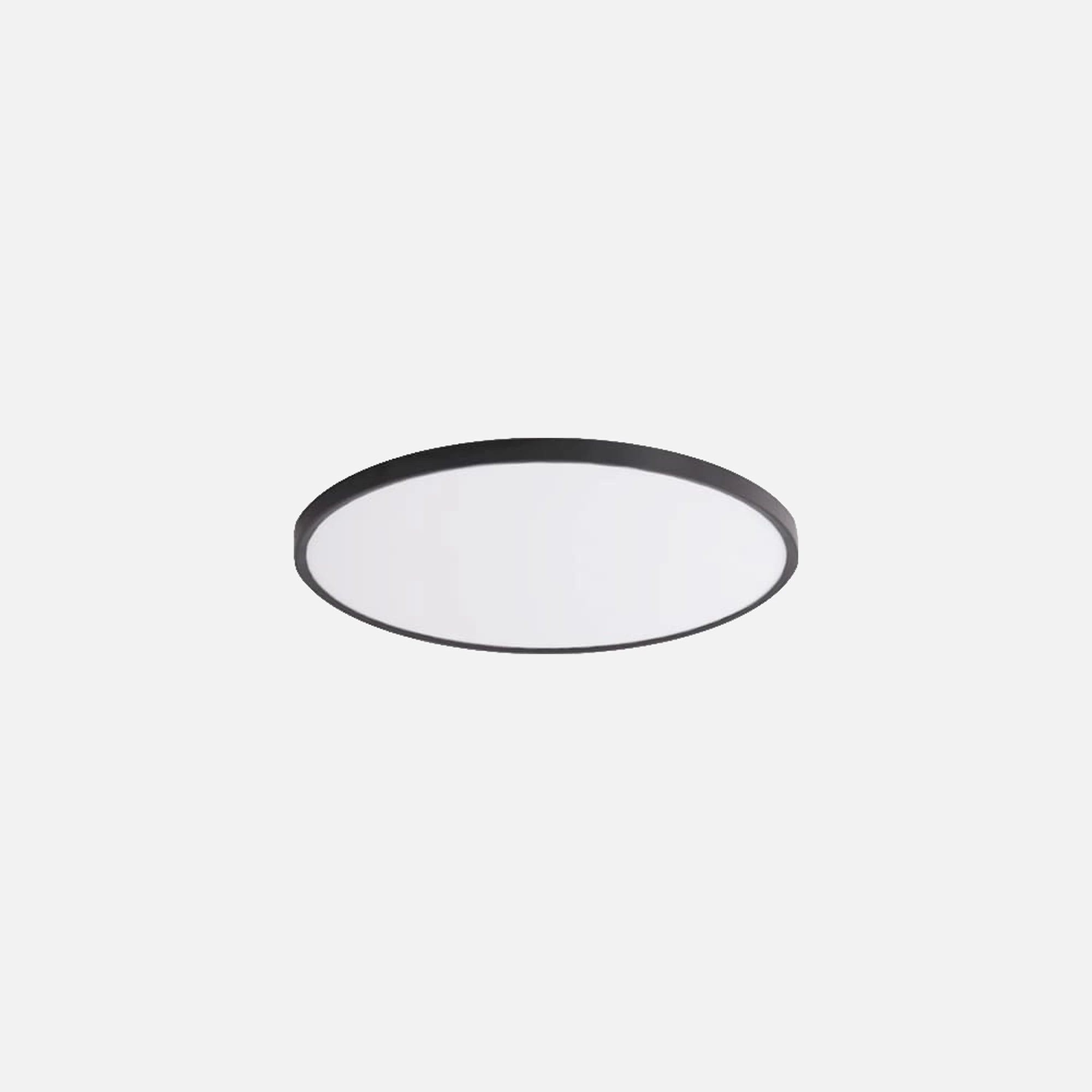RP Ceiling Light with hanging option - Round With PC Cover/Φ300mm/24W/3CCT/Black