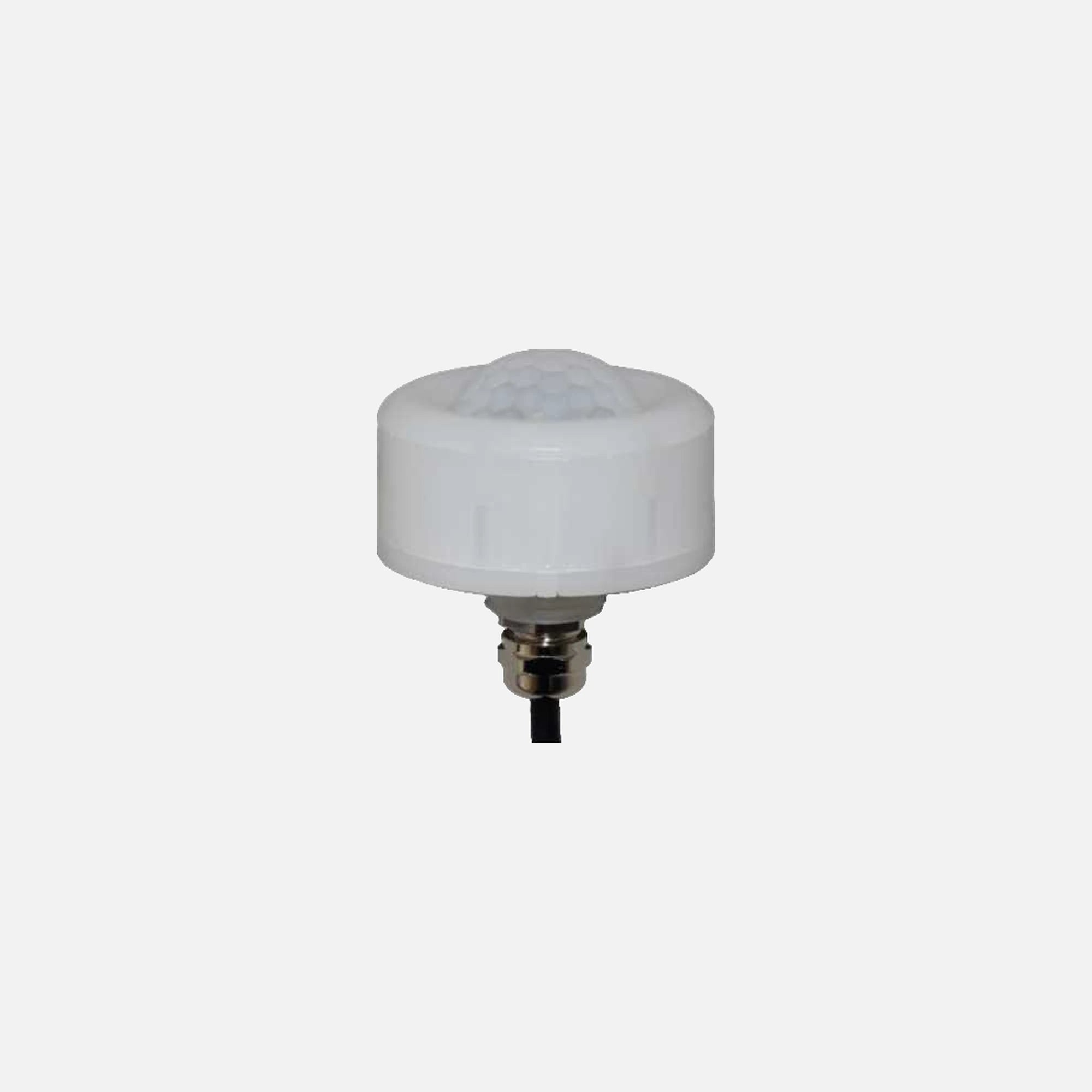 Other RP-Motion detector with possibility of remote control for high b