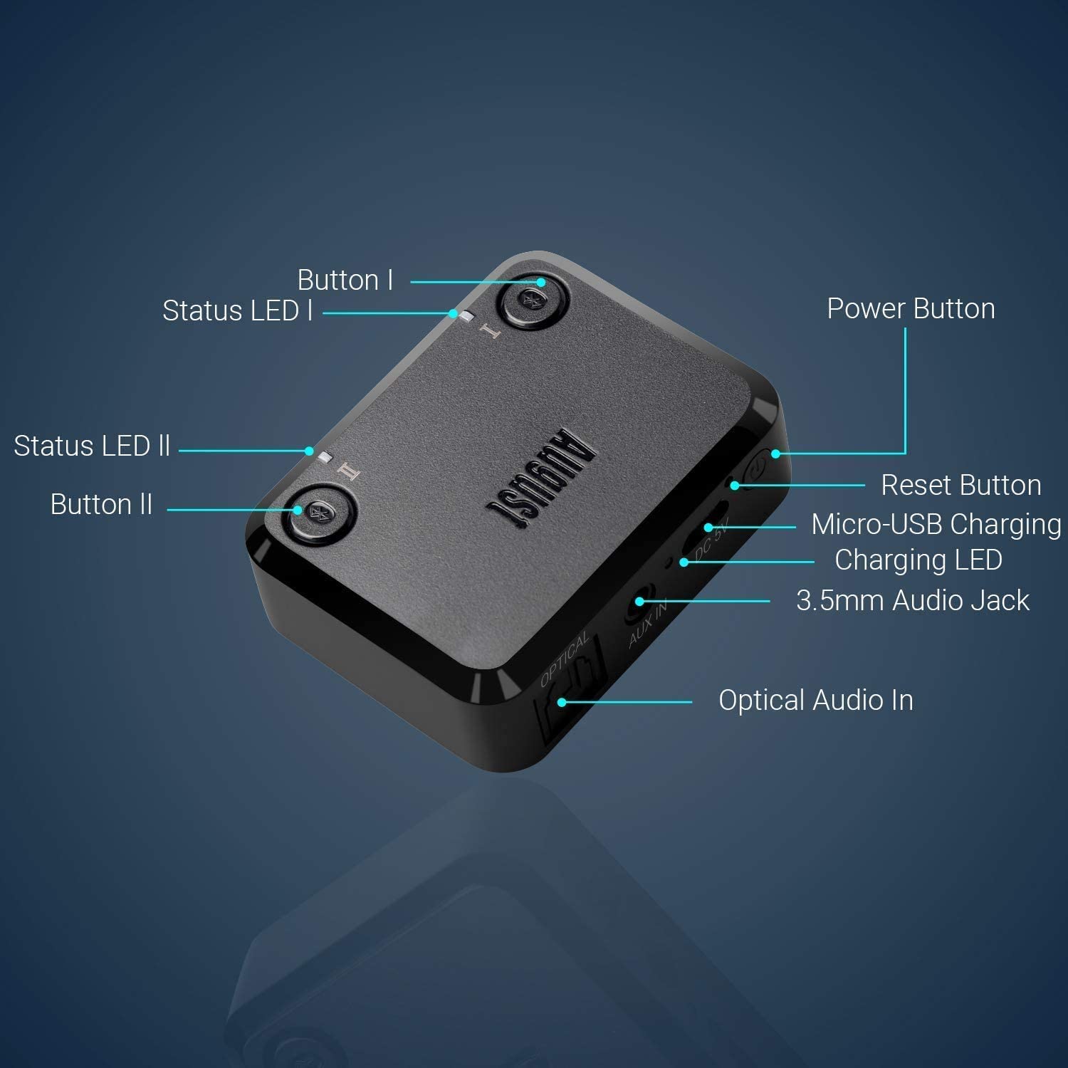 August Accessory — View 5