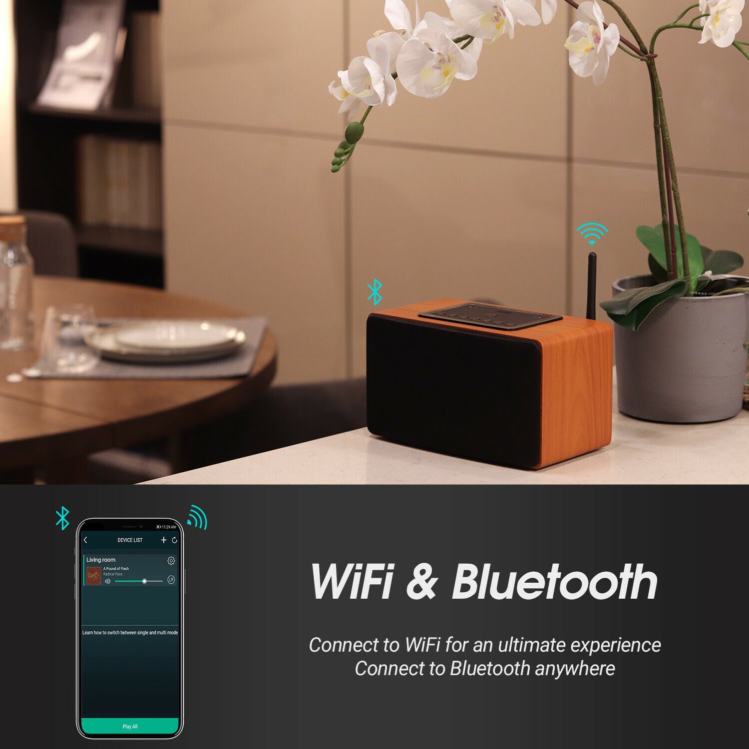 August Accessory — Packaging