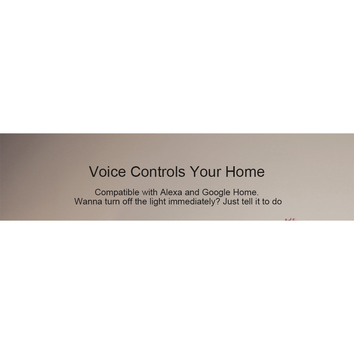 Other Smart Home Hubs — View 13