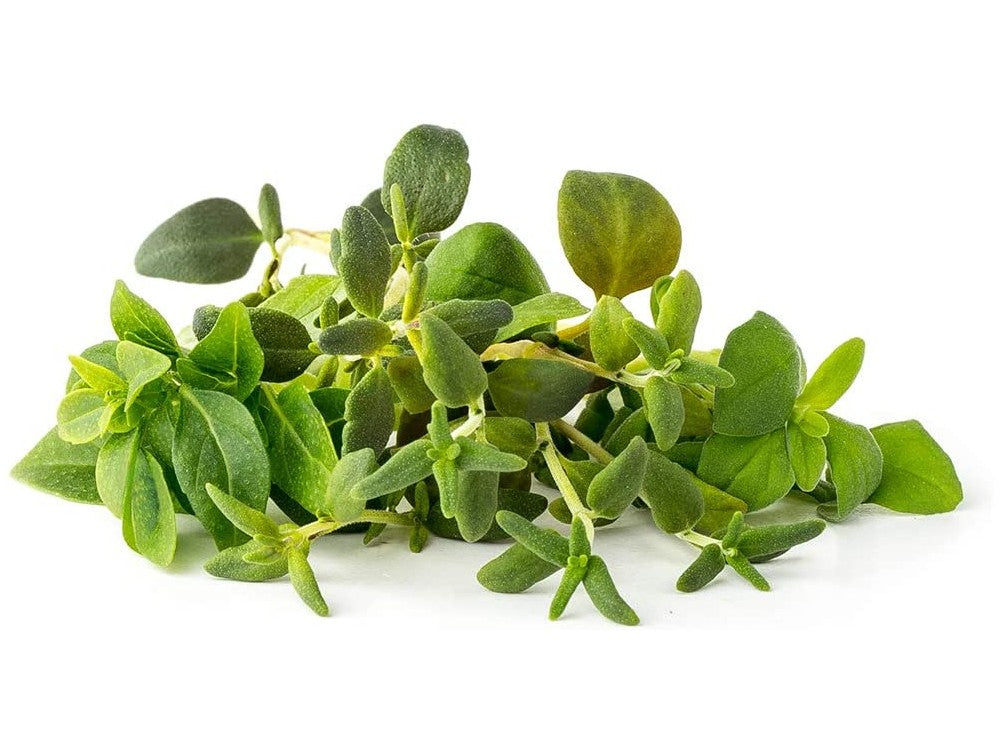 Click & Grow Italian Herb Mix Pods – 9-pack (Basil, Marjoram, Thyme) – view 2